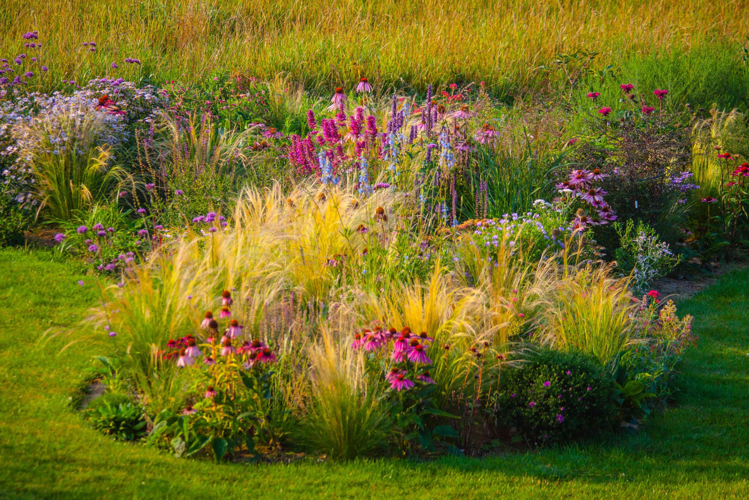 26 Late Summer time season Flowers You Can Nonetheless Plant for a Pop of Color