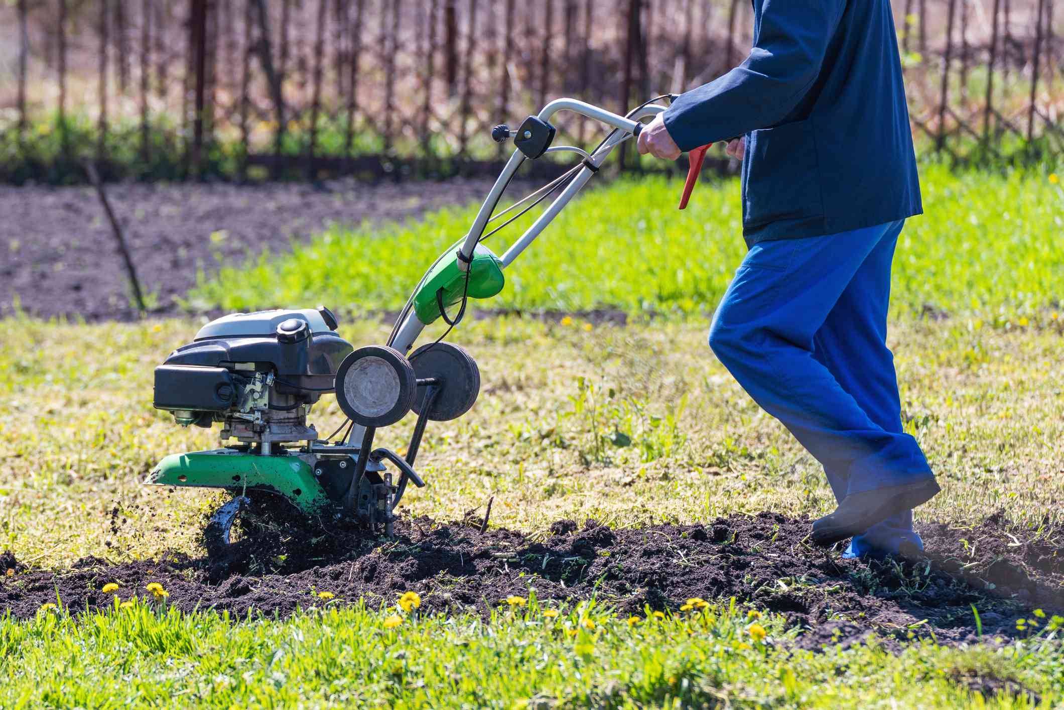 What’s the Distinction Between a Cultivator and a Tiller?