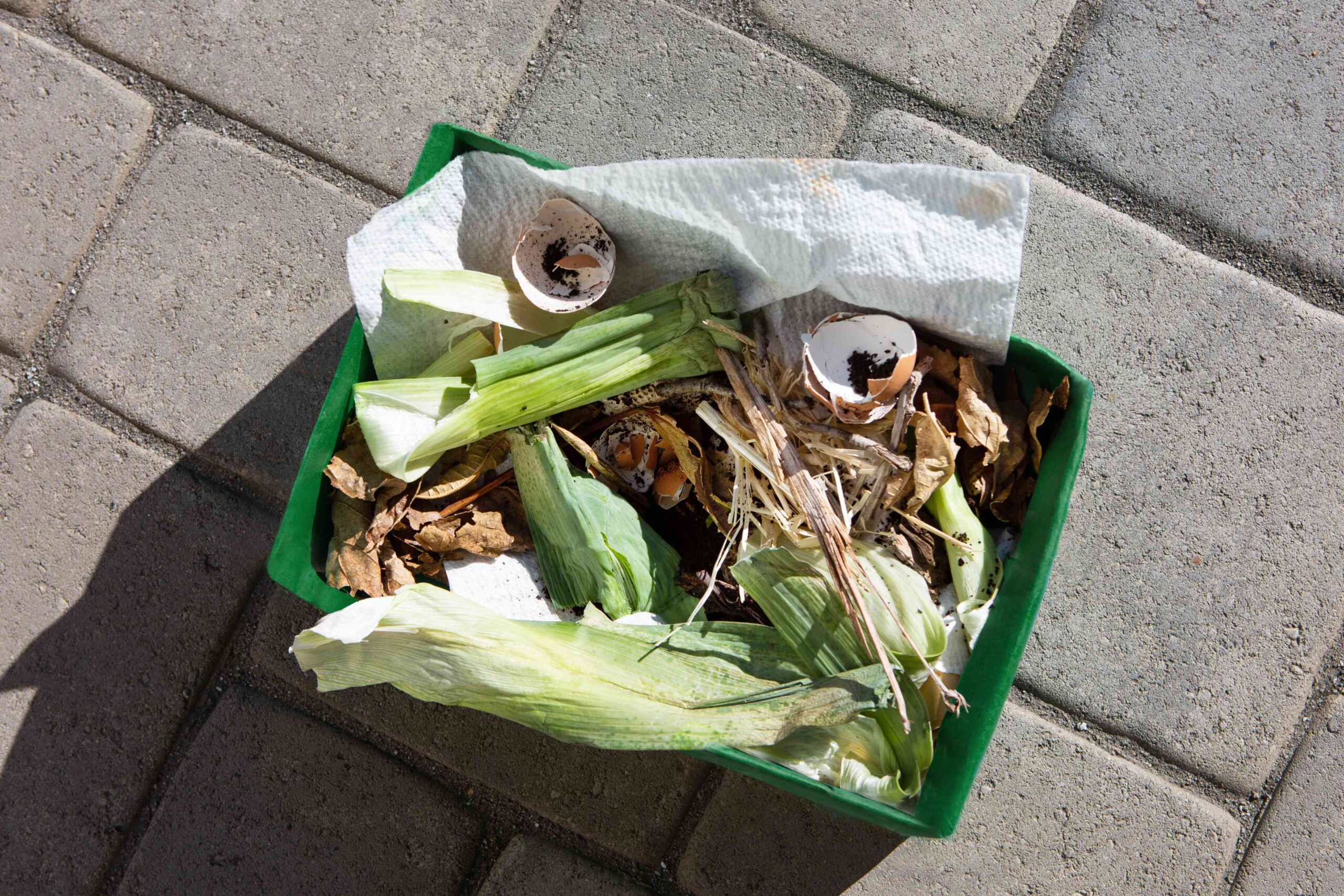 The Appropriate Compost Ratio of Greens and Browns